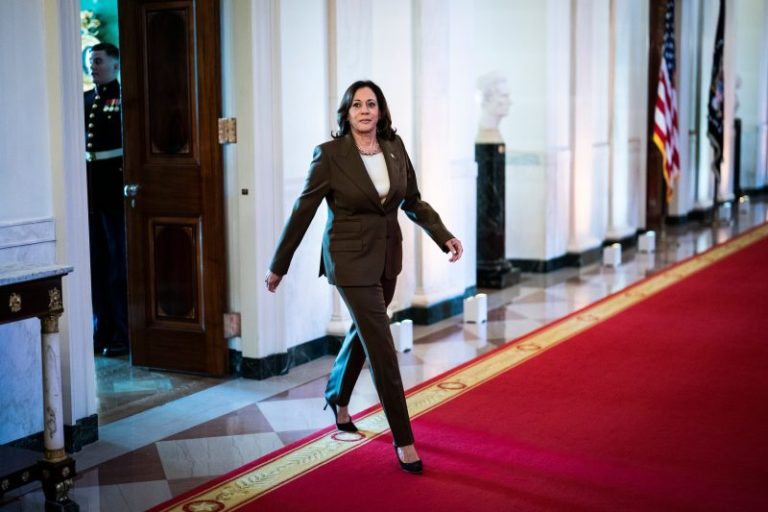 Harris Highlights Palestinian Suffering to Set Herself Apart from Biden on Gaza Crisis
