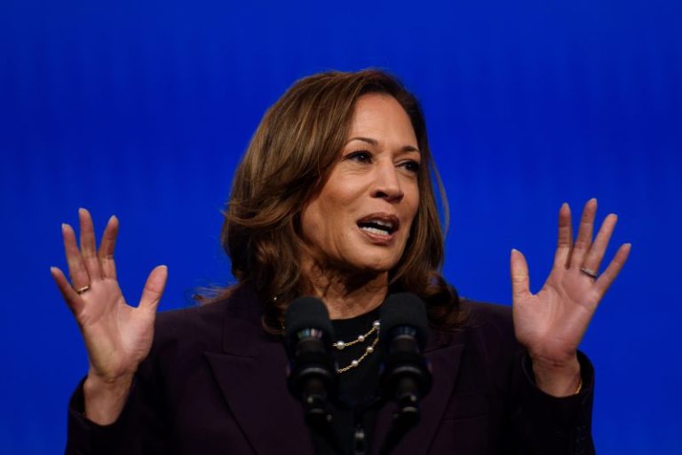 Harris Speeds Up Search for Democratic Vice Presidential Pick