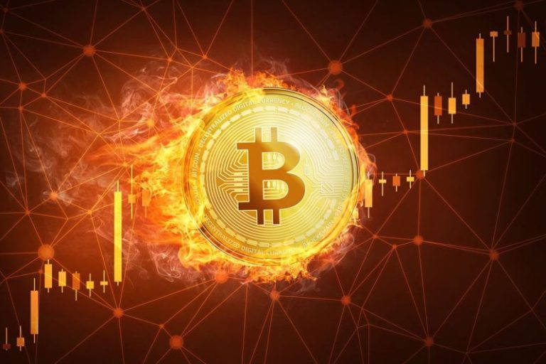 Bitcoin 2024: Should You Buy Now or Miss Out?